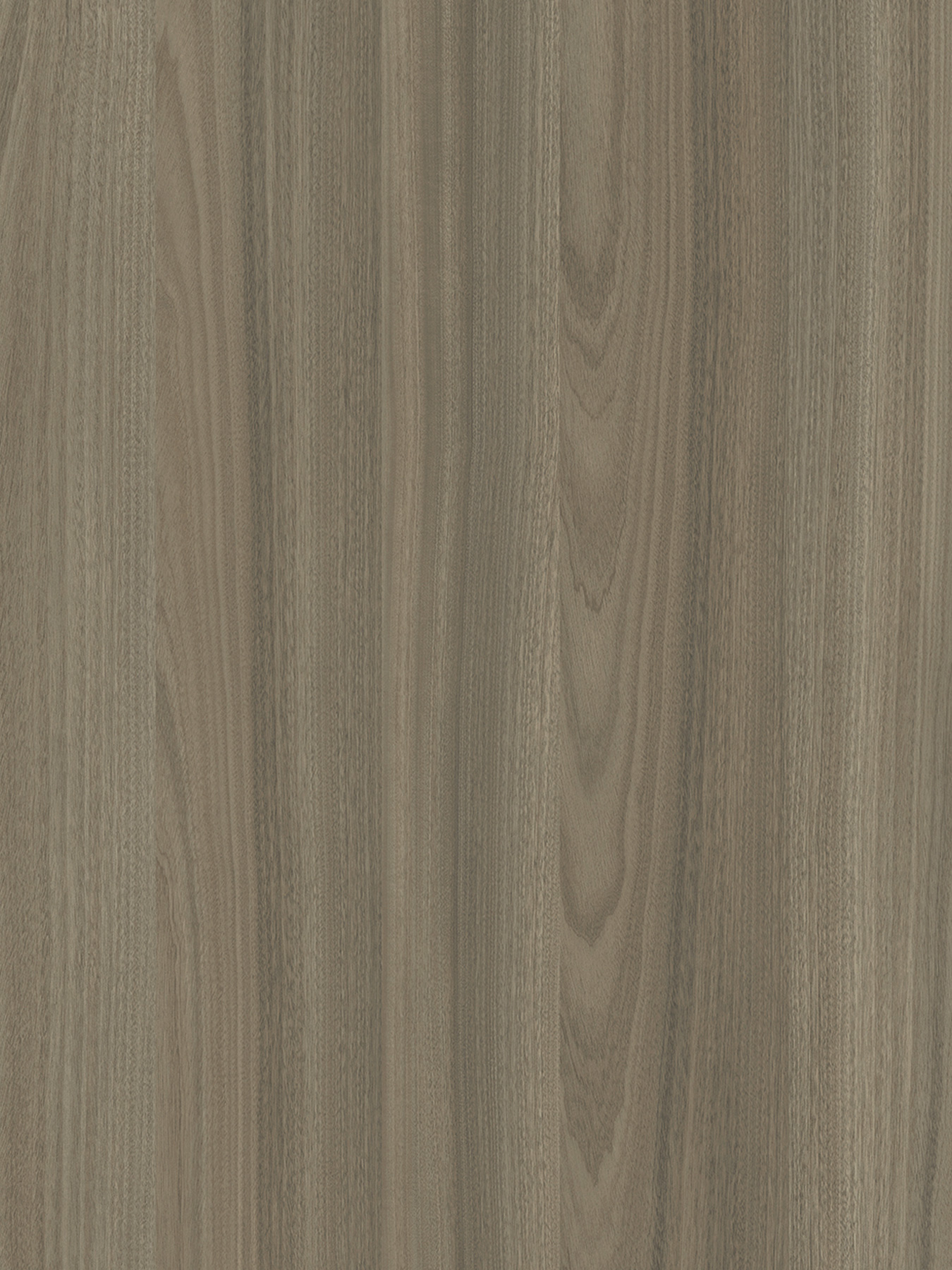 1350 x 1800 Salisbury